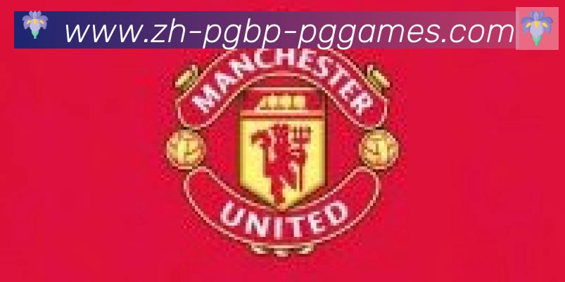 PG模拟器合作伙伴